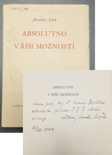 Absolutno v říši možností