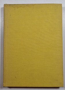 Dynamické programovanie (slovensky)