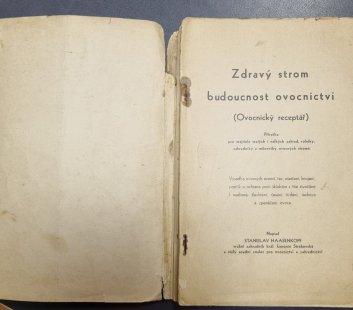 Zdravý strom budoucnost ovocnictví