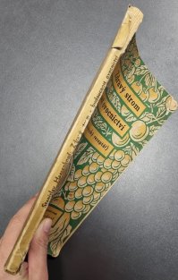 Zdravý strom budoucnost ovocnictví