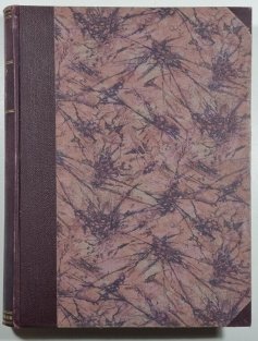 Český svět - ročník XXI. (1924-25) - II. pololetí