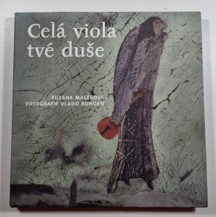 Celá viola tvé duše