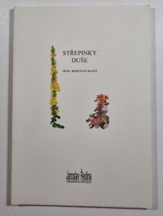 Střepiny duše