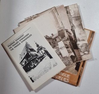 The Prague Synagogues - Pražské synagogy