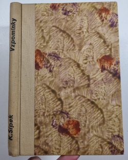 Vzpomínky na Prozatímní / Pro bibli kralickou