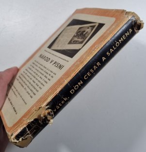 Don Cesar a Salomena