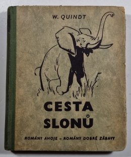 Cesta slonů