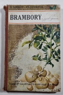 Brambory a jejich úprava