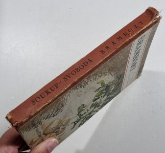 Brambory a jejich úprava