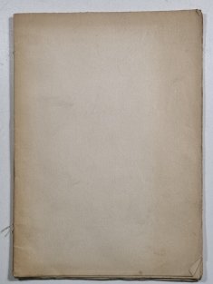 Petr Faster - český revolucionář