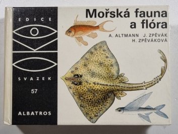 Mořská fauna a flóra