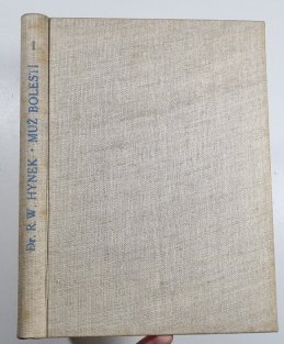 Muž bolestí I. + II.