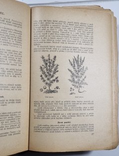 Herbář aneb Bylinář doktora Petra Ondřeje Mathiola 