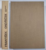 František Ondříček - český houslista