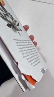 Malý Buddha - Cesta za štěstím