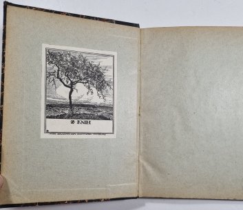 Korutanské povídky Gabriely Preissové