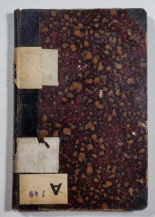 Mravenci, jich život a práce