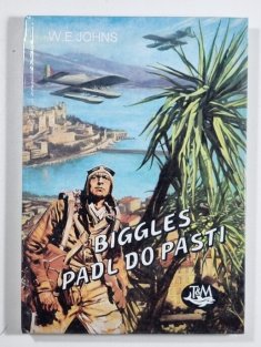 Biggles padl do pasti