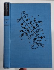 Román o Lišákovi - 