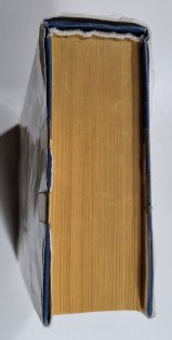 O Platónovi IV. - Druhý život