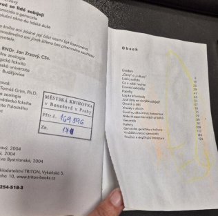 Proč se lidé zabíjejí?