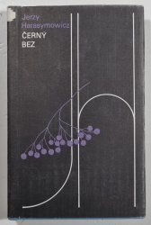 Černý bez  - 
