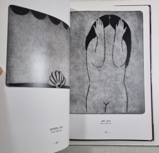 Vladimír Komárek  - grafika