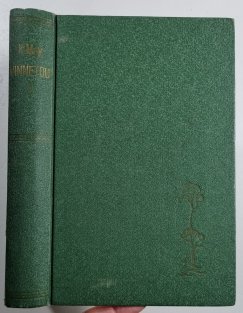 Vinnetou 2 - Rudý gentleman