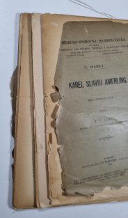 Karel Slavoj Amerling