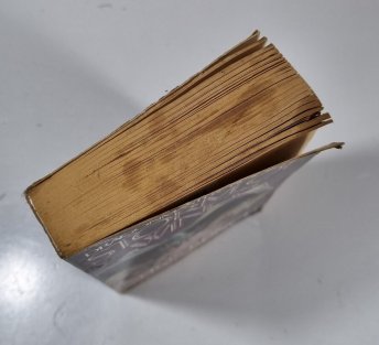 Dragonmaster 1 - Storm of Wings