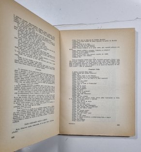 Hilsneriáda a TGM