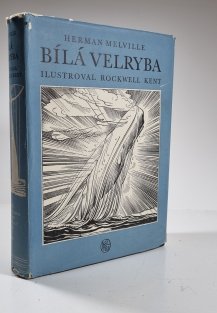 Bílá velryba