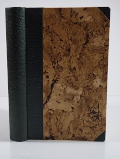 Petra Klesa pozůstalé spisy prózou i veršem	