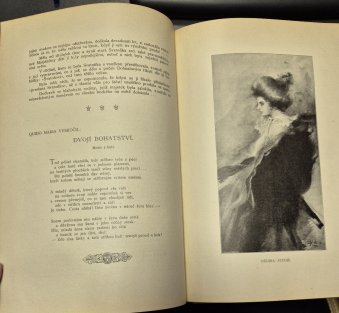 Kalendář paní a dívek českých 1904