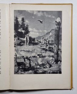 Hoši od Bobří řeky ( 1. vydání )