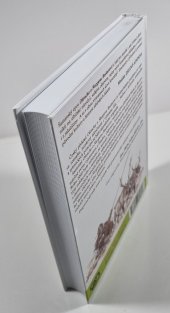 Oloncho o Ňurgunu Booturovi