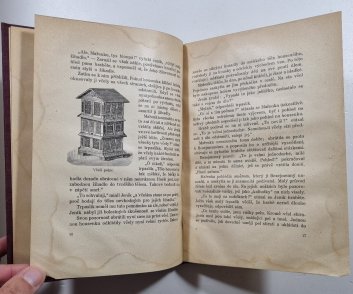 Výlety do říše včel