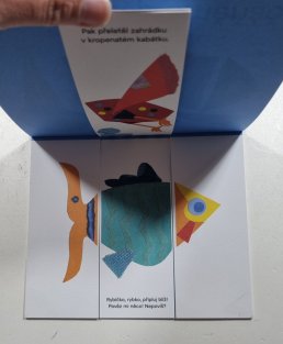 Rybky ptáčci proměňáčci