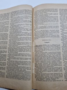 Rodokaps 238 - Stín Soneytské stezky