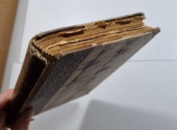 Krásná ošetřovatelka I.