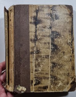 Krásná ošetřovatelka I.