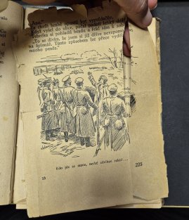 Krásná ošetřovatelka I.