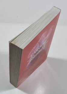 Čaroděj rozzuřený