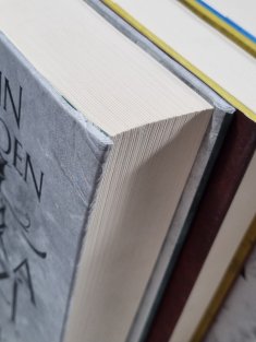 Válka růží 1-4 - Bouře / trojice / Dynastie / Drak