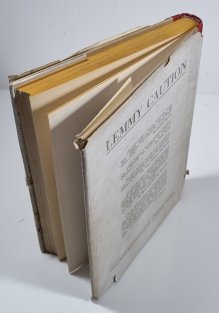 Slečnám to nevadí