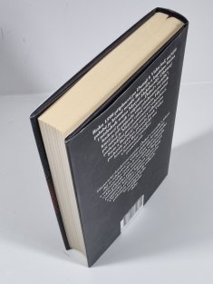 Ďábel v zrcadle - Stein a Barbarič 4