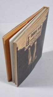 Ostře sledované vlaky