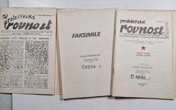 Proletářská rovnost