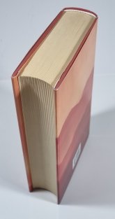 Stmívání nad sakurami