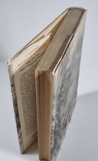 Bolševici v podzemí